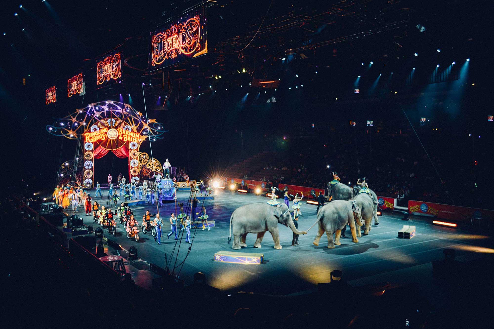 Florida's Fascinating Circus History Florida Smart