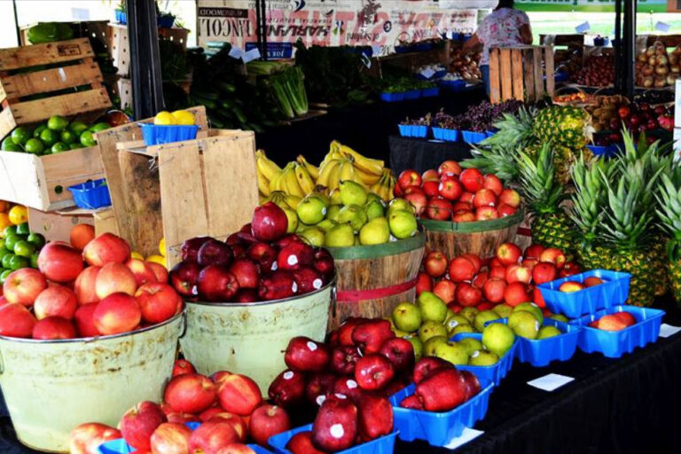 Top 10 Farmer's Markets in Central Florida Florida Smart