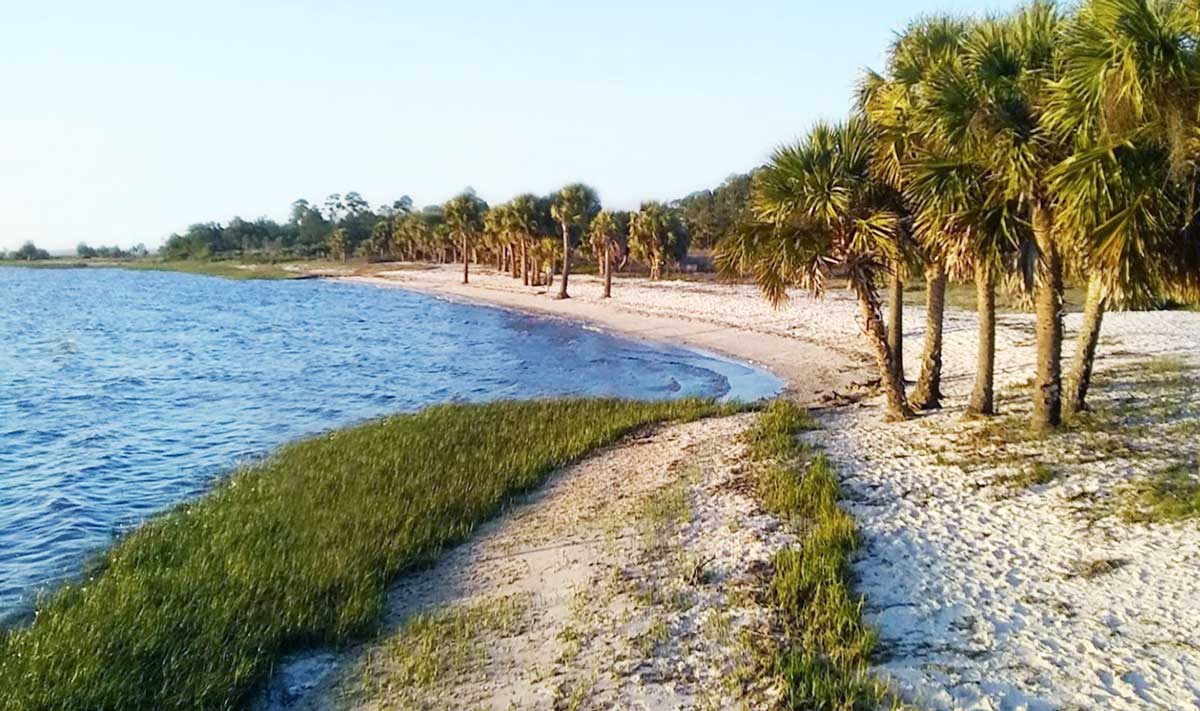 Ultimate Beach Guide to Florida's Nature Coast Florida Smart