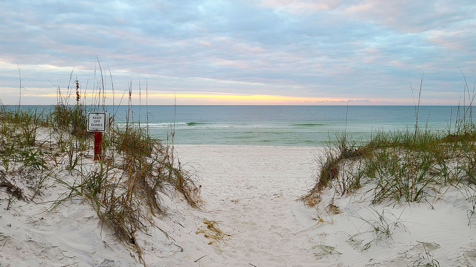 Does Pensacola Beach Allow Dogs