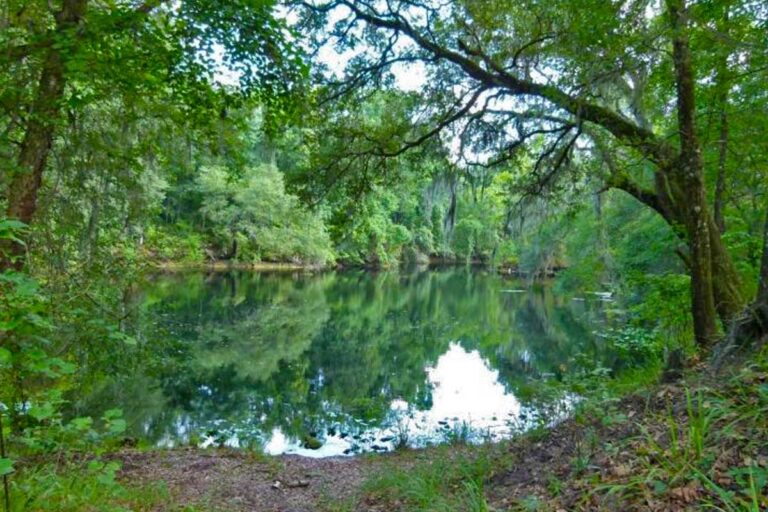 River Rise Preserve State Park Florida Smart