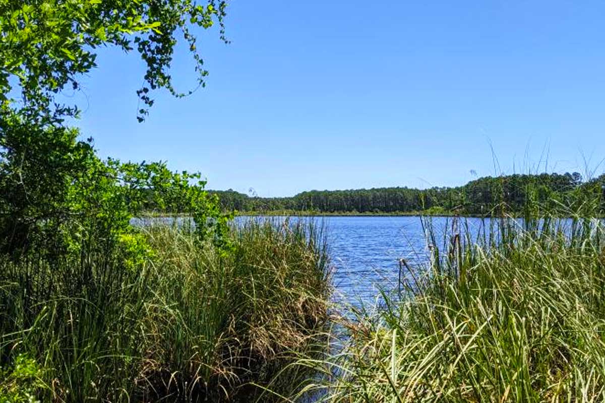 Bluffs of St. Teresa Florida Smart