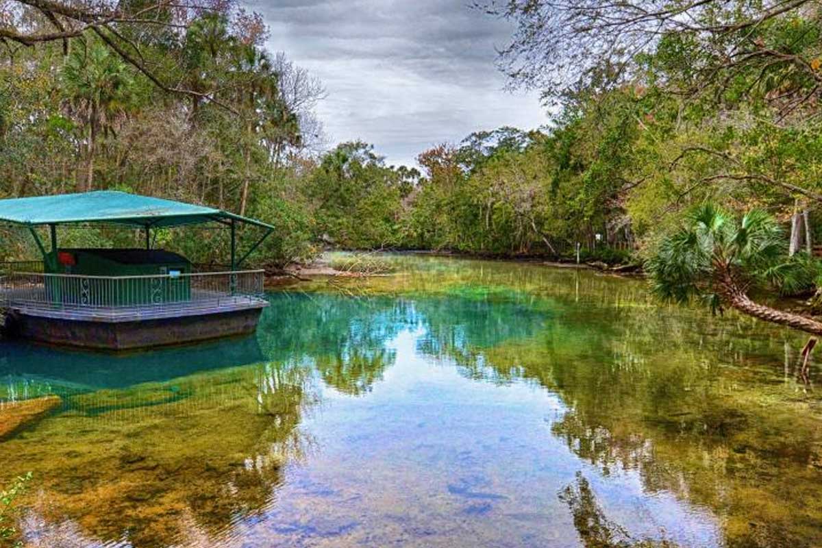 Ellie Schiller Homosassa Springs Wildlife State Park Florida Smart