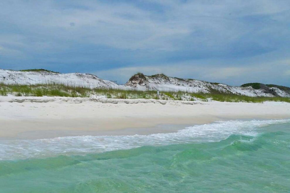 Grayton Beach State Park Florida Smart