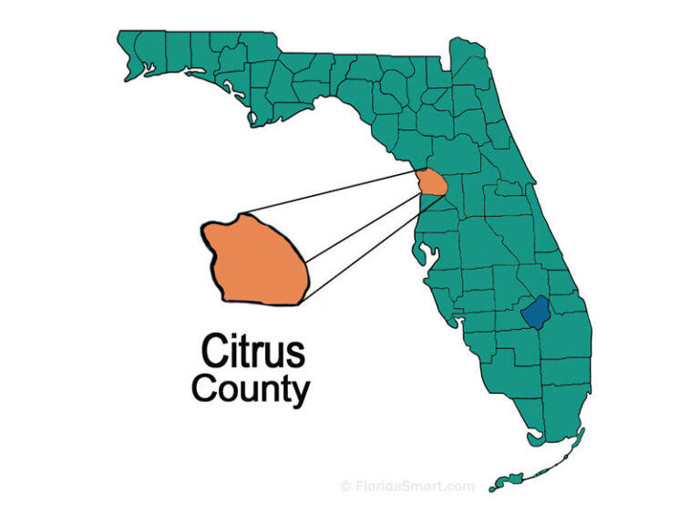 Citrus County Florida Florida - 23counties Citrus 800x600 1 768x576 